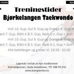 Lysbilde1