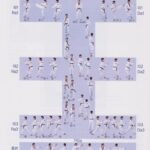 Poomsae 7 – Taeguk Chil Jang
