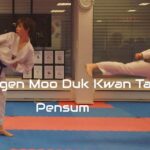 Bjørkelangen Moo Duk Kwan Taekwondo Pensum