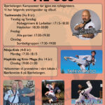 Taekwondo_Promo_New2-1